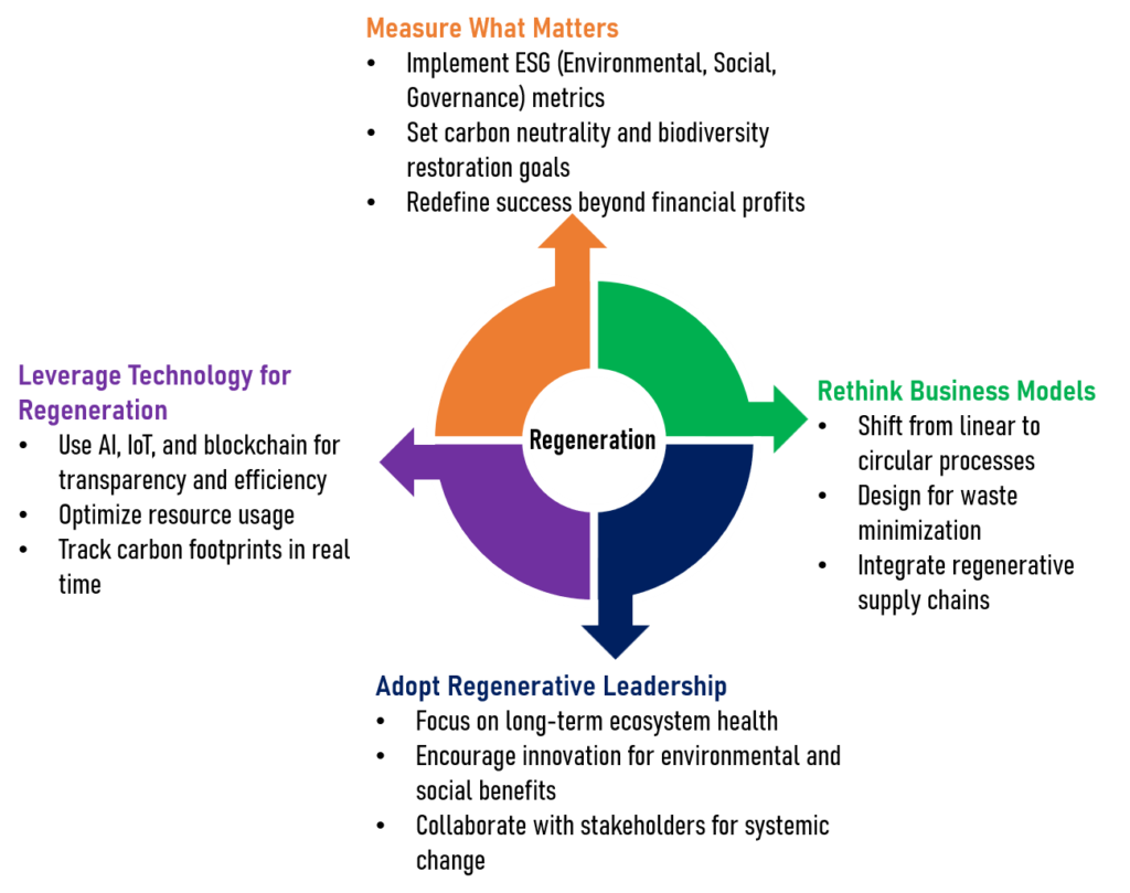 strategic model for regenerative organisations